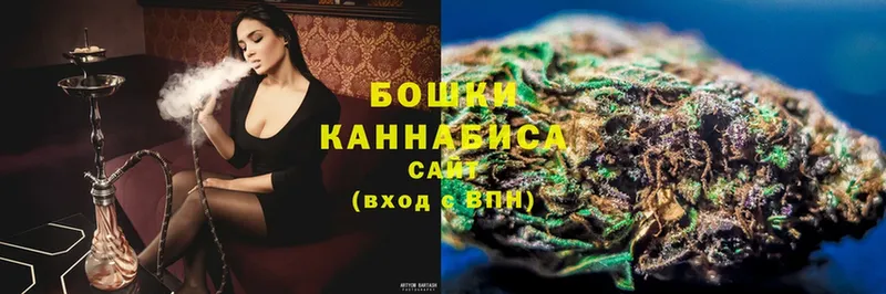 Бошки Шишки SATIVA & INDICA  цены наркотик  Подпорожье 