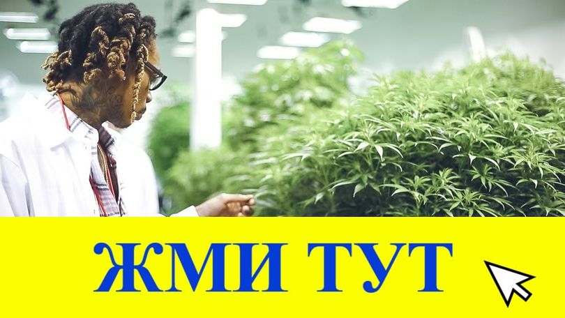 Купить наркотики в Подпорожье